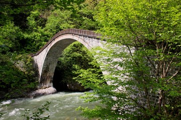 view of peace