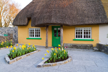 Irish traditional cottage house