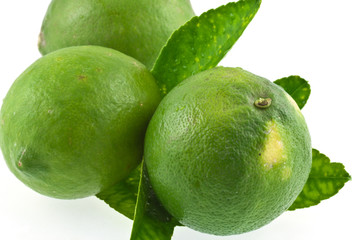 citrons verts