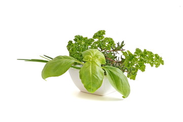 Plate of Herbs