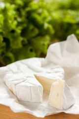 Slice of camambert cheese