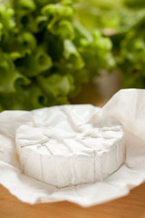 Camambert cheese