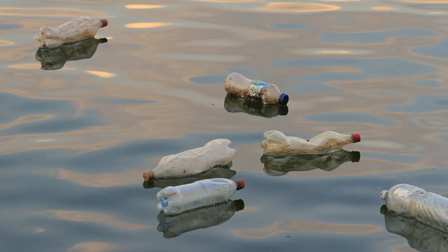 Plastic bottles floating and polluting at river