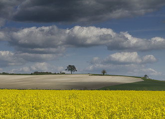campagne au printemps
