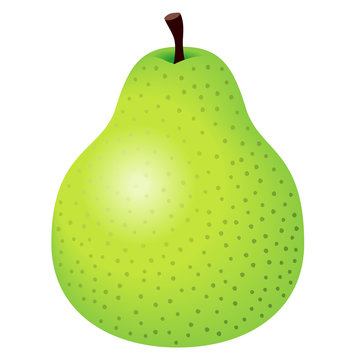 洋梨イラスト Images Browse 2 Stock Photos Vectors And Video Adobe Stock