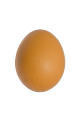 Chicken's egg white isolated