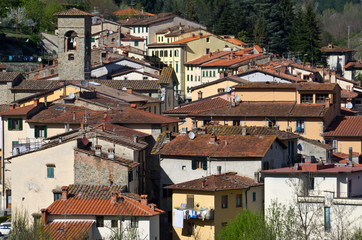 Toscana, Casentino: panorama di Stia © maurosessanta