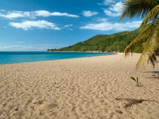  Grande anse strand in Deshaies, Guadeloupe © Sébastien Closs