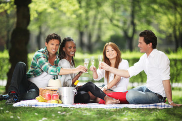Picknick mit Freunden