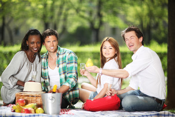 Picknick mit Freunden