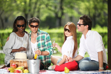 Picknick mit Freunden