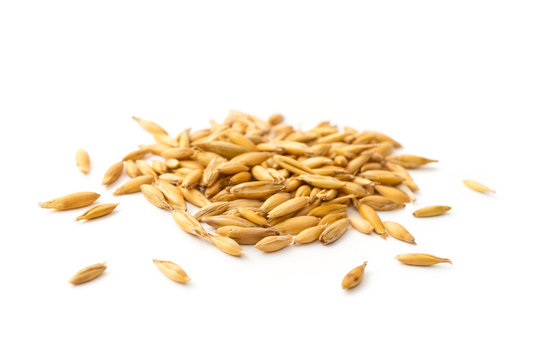 heap of oat grains