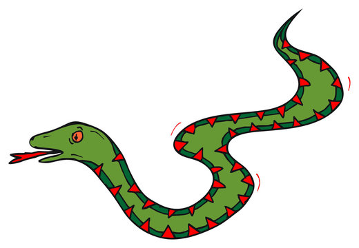 Snake - Schlange