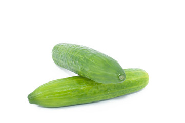 Cucumber