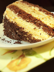 piece of chocolate delicious cake