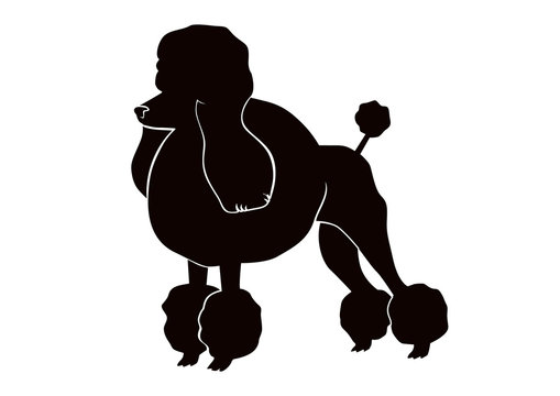 poodle silhouettes