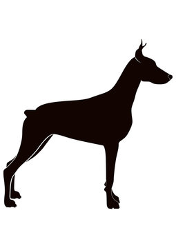 Doberman items sales
