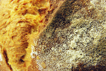 Bread crust macro