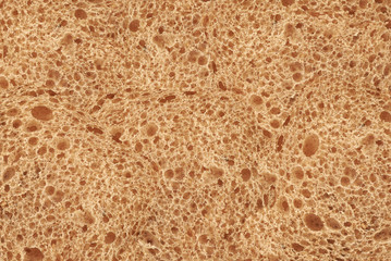 bread texture