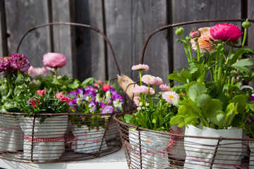 Spring flowers decoration