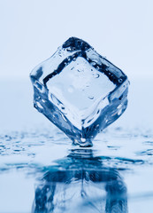 Ice