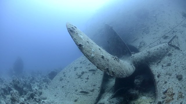 Side view of a propeller, SS Thistlegorm. Red Sea, Egypt.