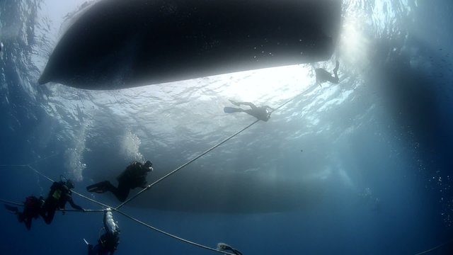 Scuba divers on mooring line under dive boat