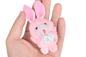 rabbit toy