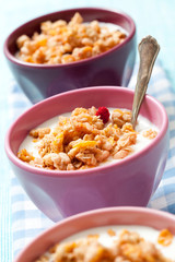 Breakfast cereal