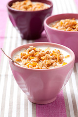 Breakfast cereal