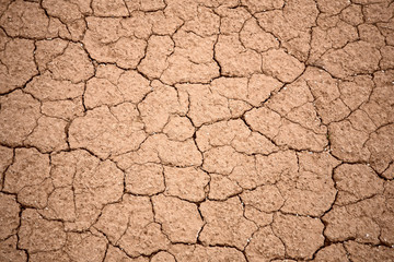 Cracked dry ground  texture