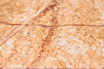 classic travertine marble texture
