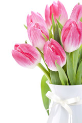 Pink tulips