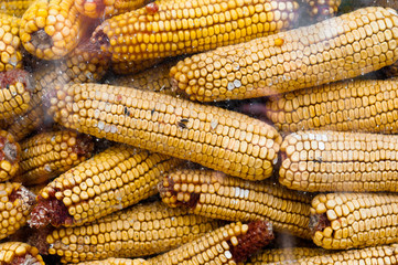 Dry corn texture