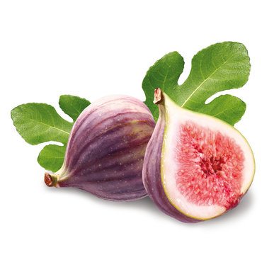 Feigen