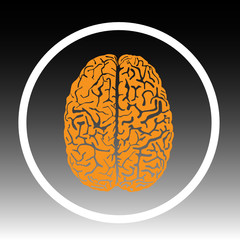 human brain symbol vector