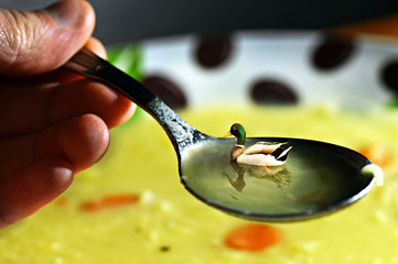 Duck soup