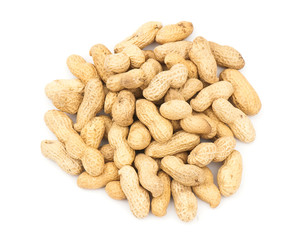 Peanut