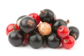 currant