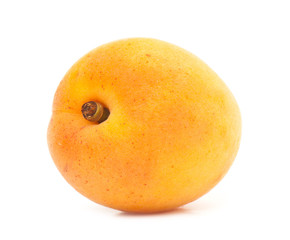 Fototapeta premium apricot