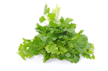 green parsley