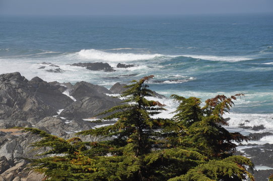 ocean