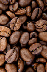 Background of coffee bean.