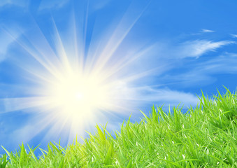 Obraz premium Fresh wheat grass with dew drops against blue sky