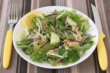salad with bean sprouts