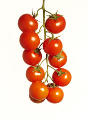 Grappolo di pomodorini su fondo bianco
