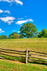 Green Field With Clear Blue Sky and Wooden Fence