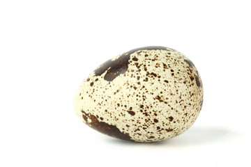 quail egg