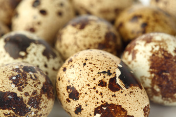 quail egg background