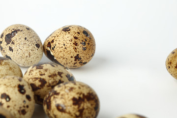 quail egg background